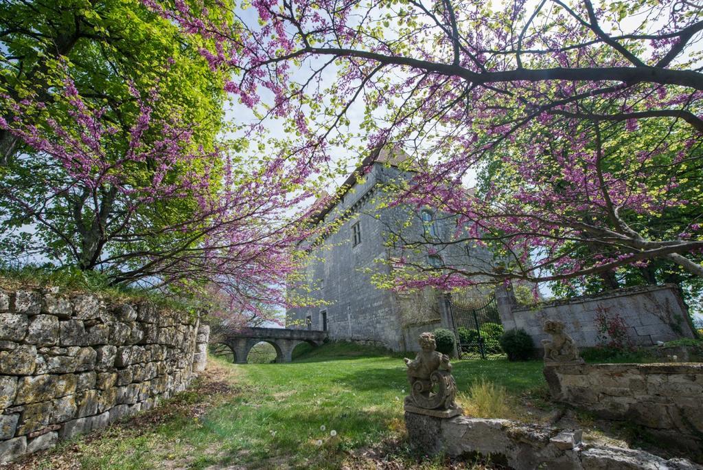 Villa Chateau De Goudourville Exterior foto